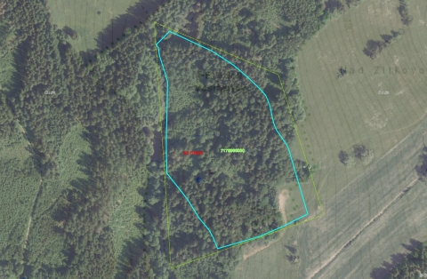L053 B3000900 Jesenný-Zítkova skála